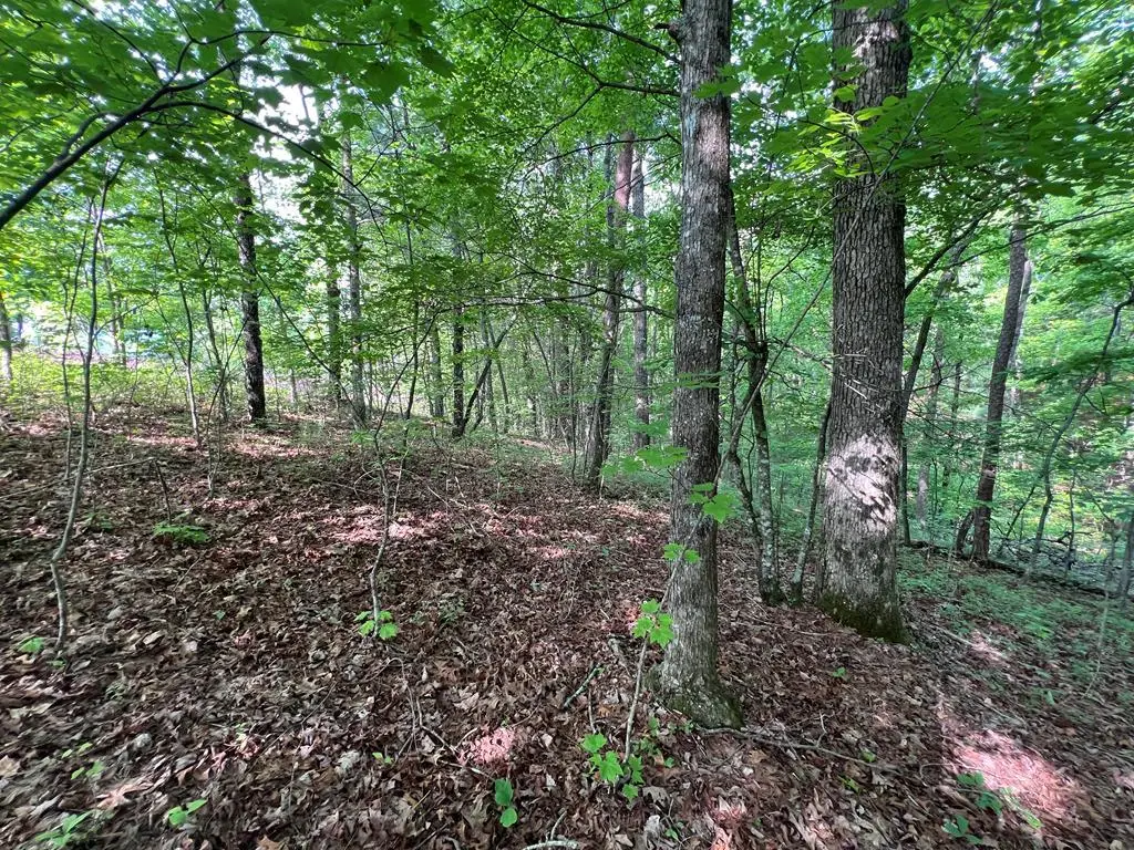 9 + Acre Leonard Lane, Murphy, NC 28906 - #1
