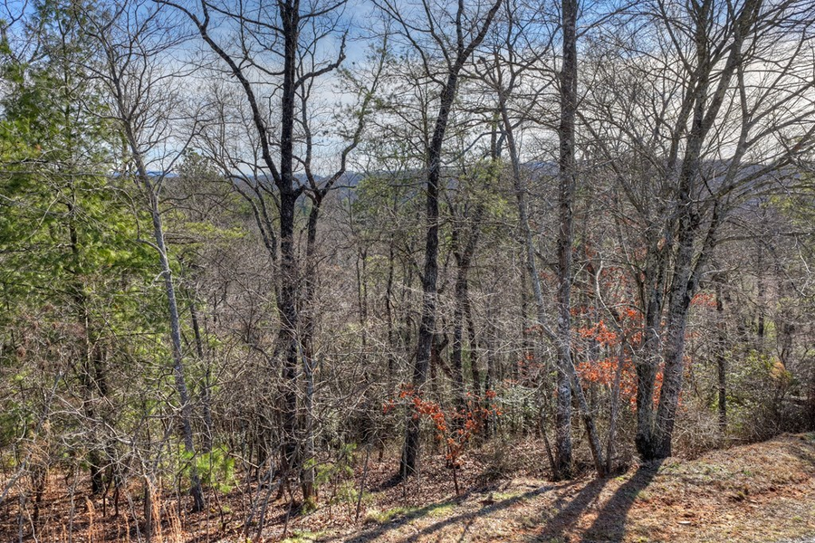 Lot 112 Fawn Way, Mineral Bluff, GA 30536 - #2