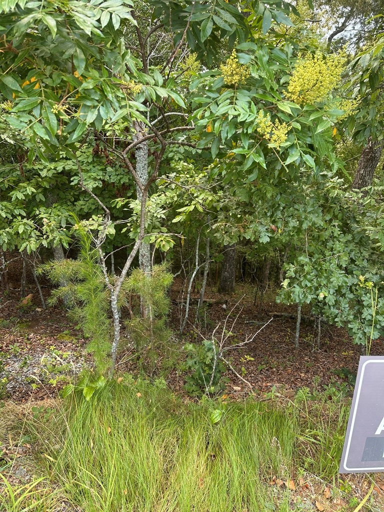 Lot 112 Fawn Way, Mineral Bluff, GA 30536 - #3