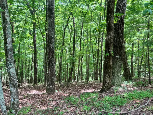 LTG67-68 Mountain Oak Road, Ellijay, GA 30536