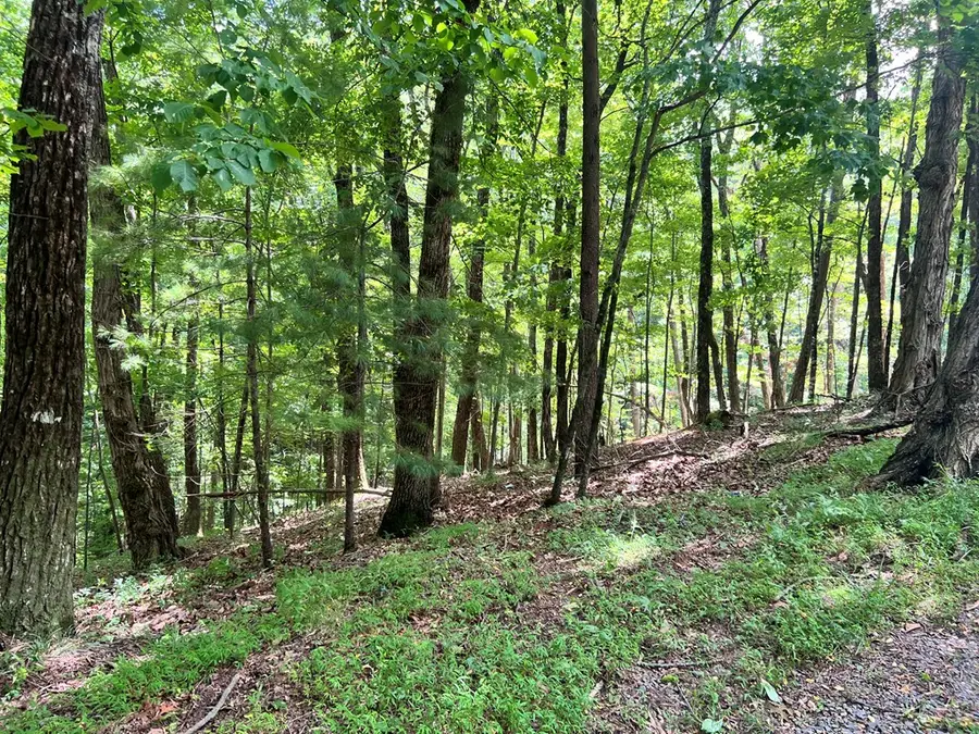 LTG67-68 Mountain Oak Road, Ellijay, GA 30536 - #2