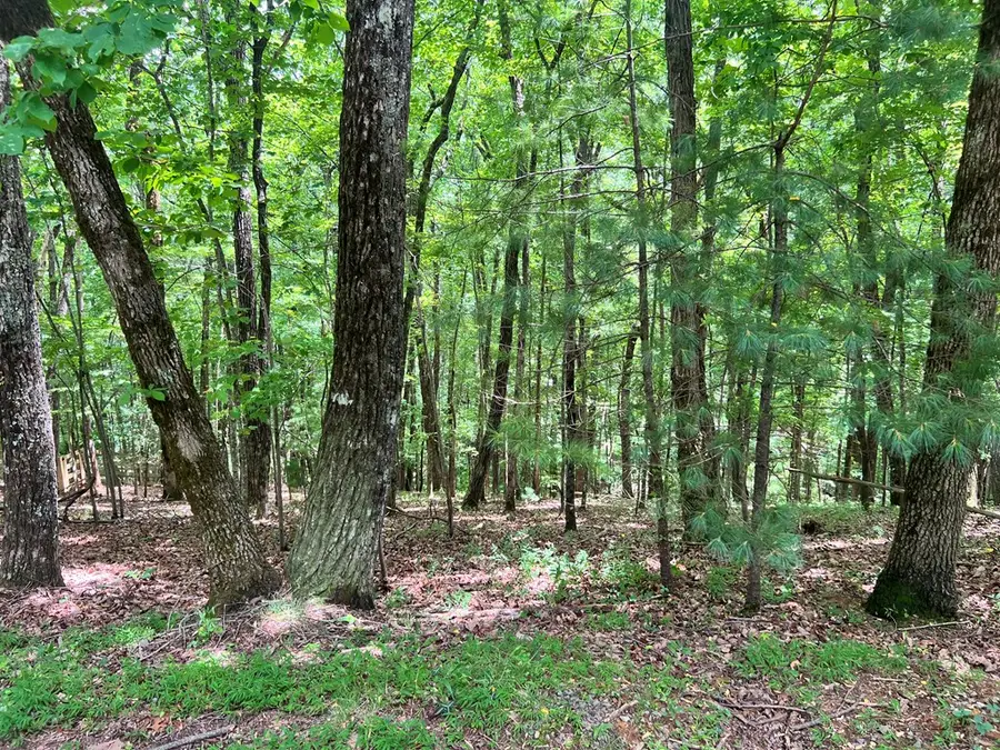 LTG67-68 Mountain Oak Road, Ellijay, GA 30536 - #3