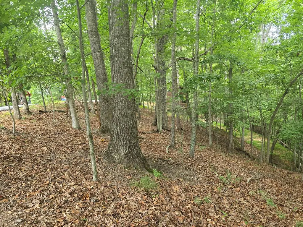 Lot 476 Riverview Drive, Ellijay, GA 30540 - #1