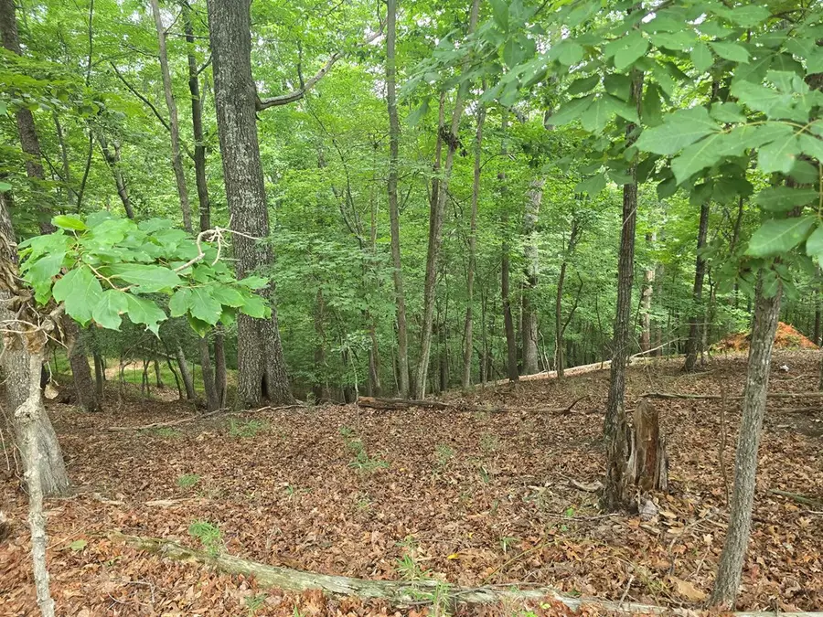 Lot 476 Riverview Drive, Ellijay, GA 30540 - #2