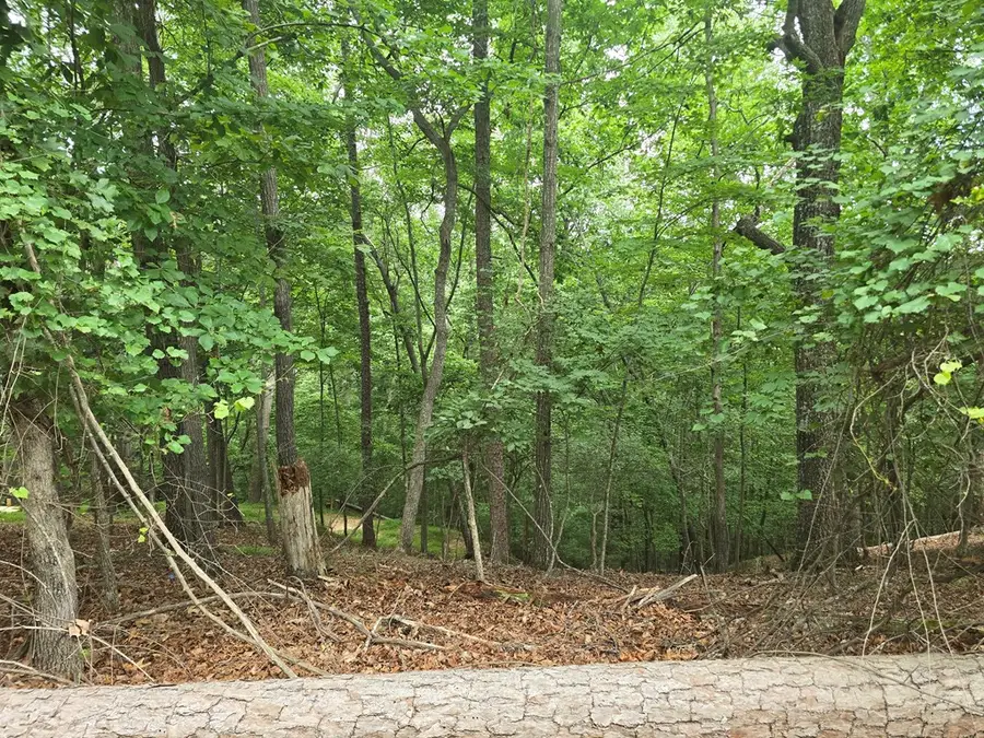 Lot 476 Riverview Drive, Ellijay, GA 30540 - #3