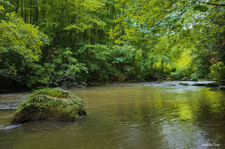 196 Creek Camp Road, Ellijay, GA 30536 - #2