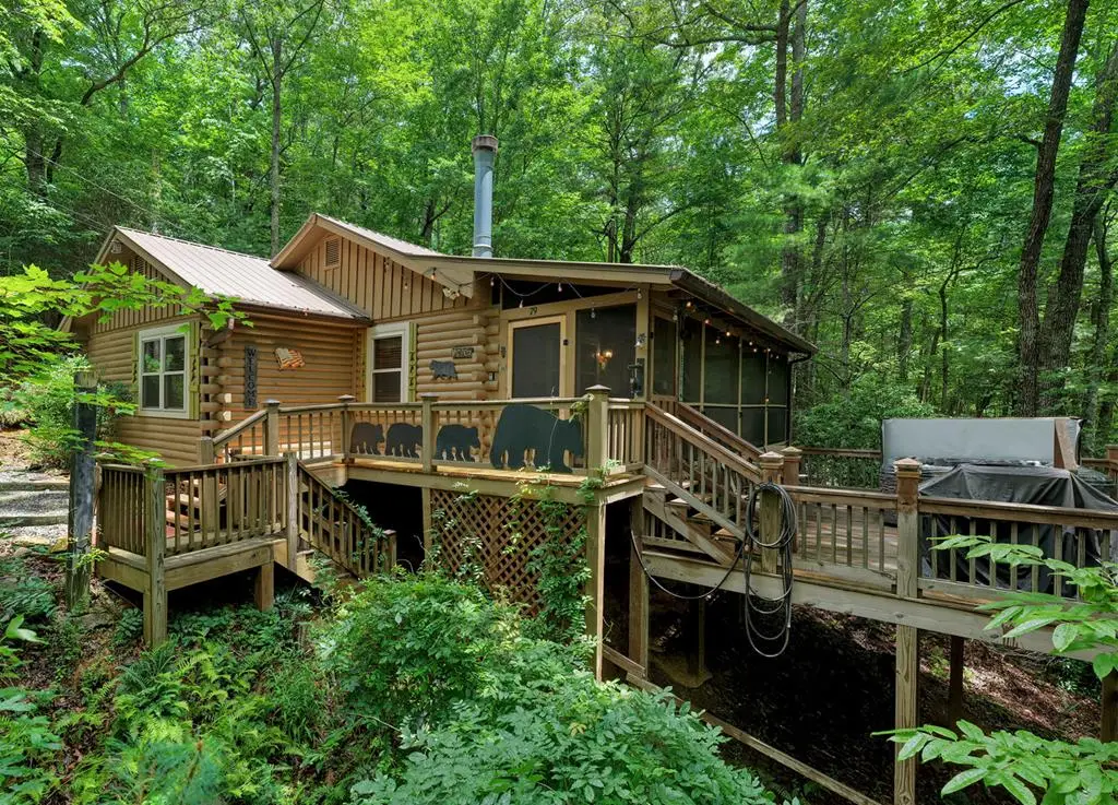 79 Maxwell Lane, Blue Ridge, GA 30513 - #1