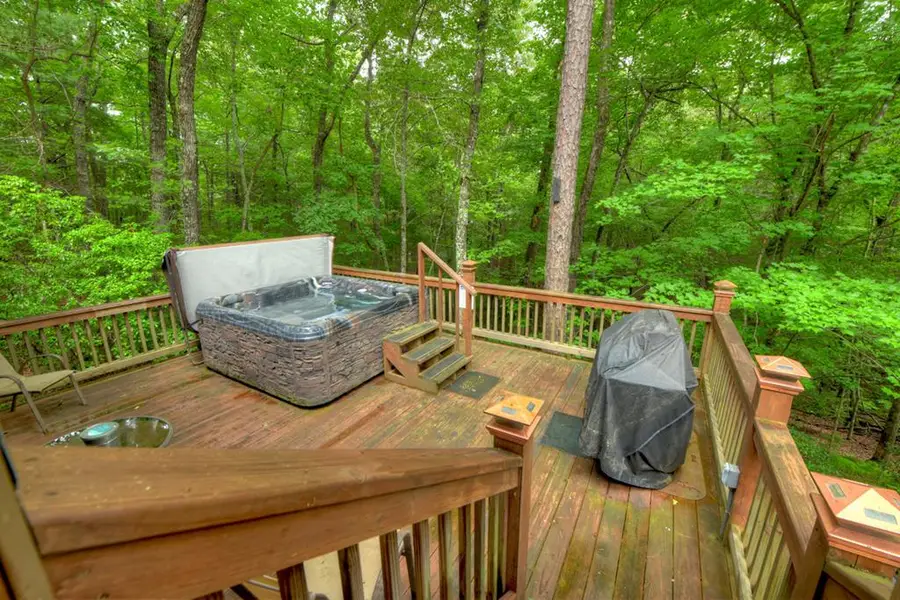 79 Maxwell Lane, Blue Ridge, GA 30513 - #2