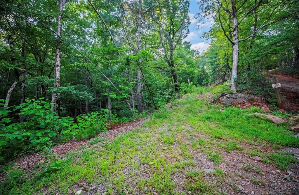 Lt 760 Morton Drive, Ellijay, GA 30540 - #1