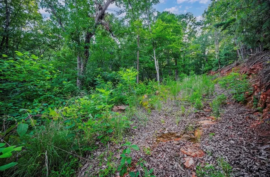 Lt 760 Morton Drive, Ellijay, GA 30540 - #2