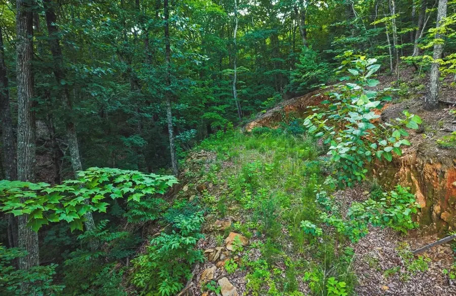 Lt 760 Morton Drive, Ellijay, GA 30540 - #3