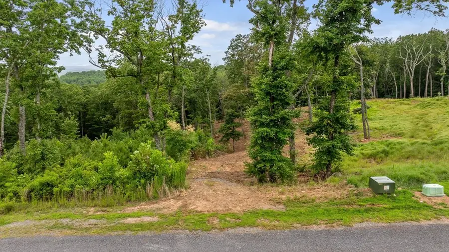 Lot 92 Timberline Trail, Talking Rock, GA 30175 - #2