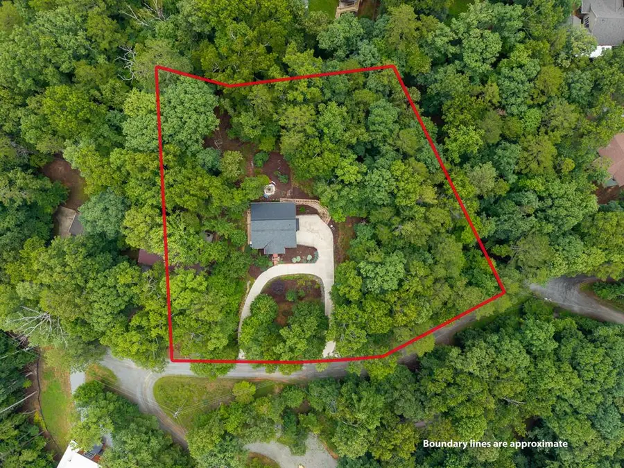 460 Pasha Drive, Ellijay, GA 30540 - #3