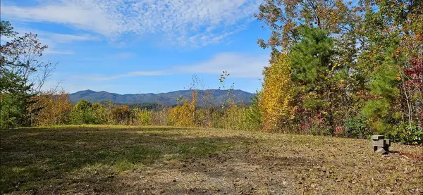 247 Rice Lane, Marble, NC 28905