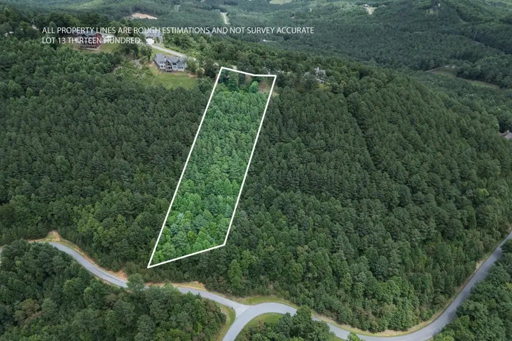 Lot 13 Thirteen Hundred, Blairsville, GA 30512 - #1