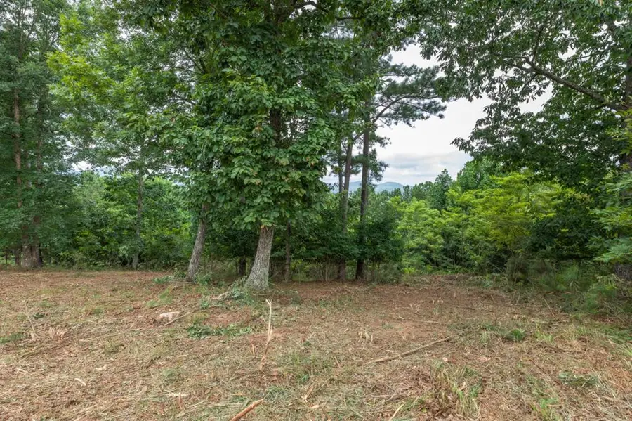 Lot 13 Thirteen Hundred, Blairsville, GA 30512 - #2