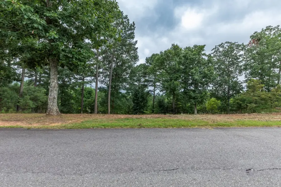 Lot 13 Thirteen Hundred, Blairsville, GA 30512 - #3