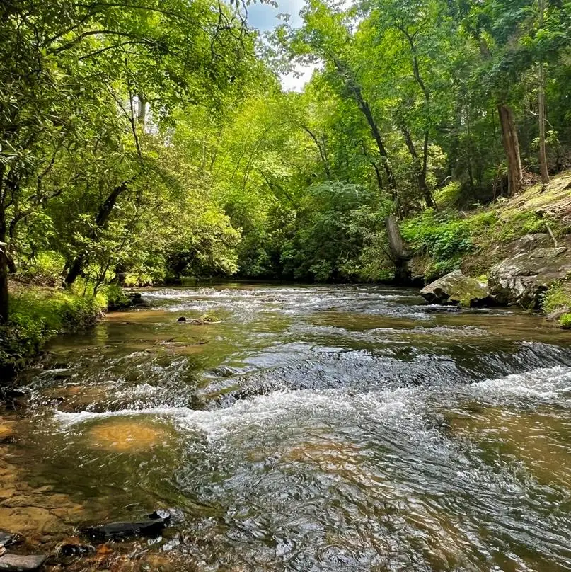 193 Opossum Road, Blairsville, GA 30512 - #1