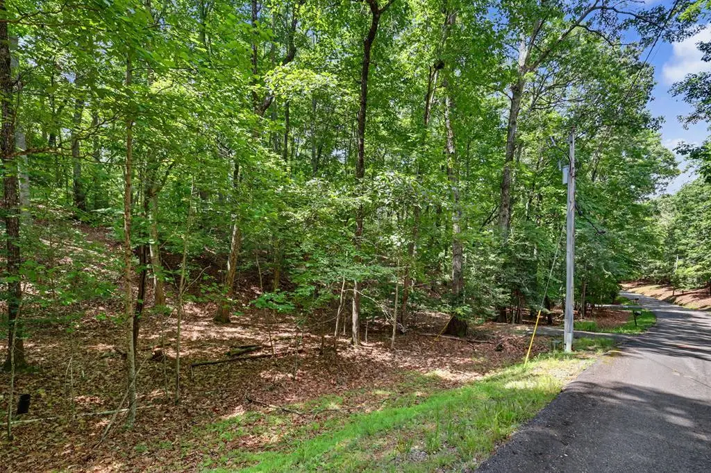 Tract 3 Wilmar Circle, Blairsville, GA 30512 - #1
