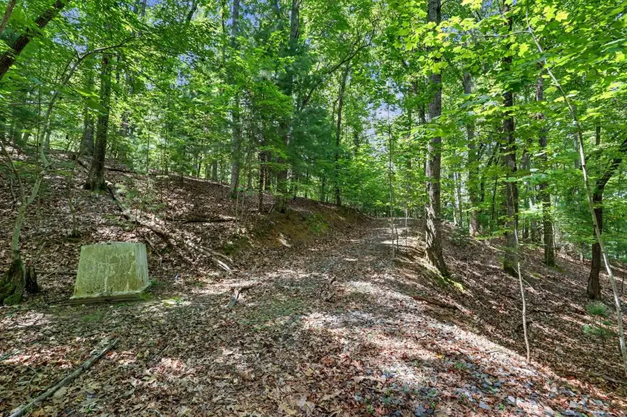 Tract 3 Wilmar Circle, Blairsville, GA 30512 - #2