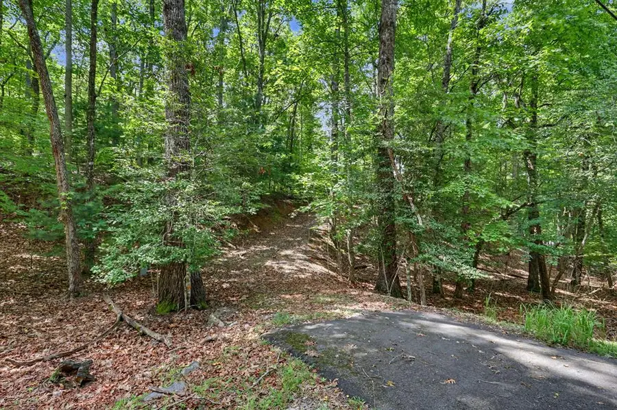 Tract 3 Wilmar Circle, Blairsville, GA 30512 - #3