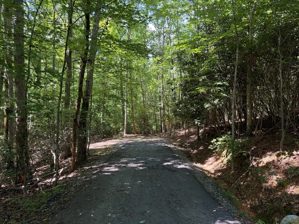 0 Panico Trail, Murphy, NC 28906 - #1