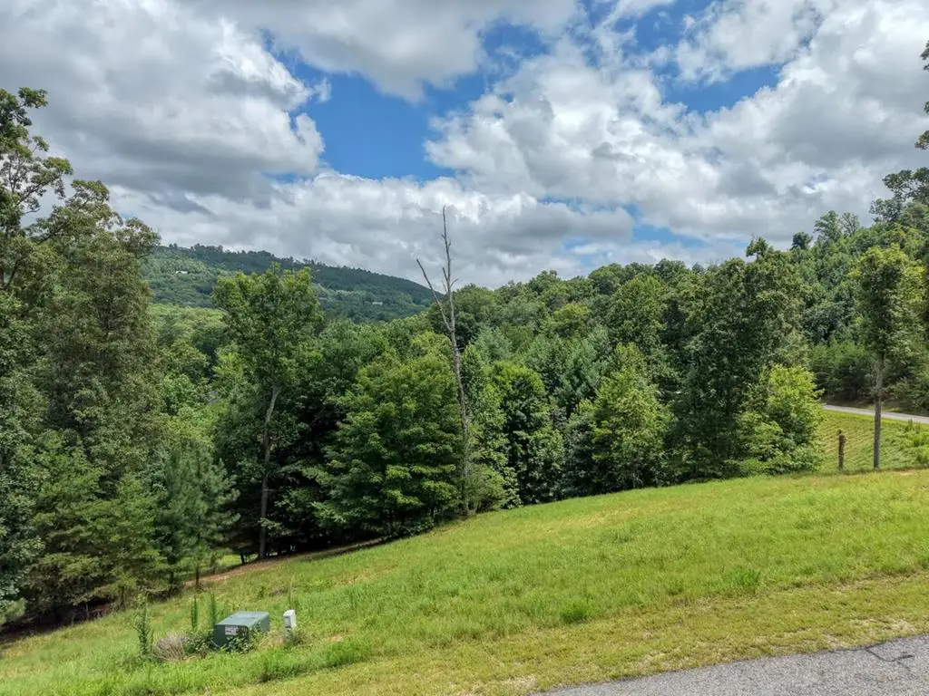 Lot 118 Riverside Lk Nottely, Blairsville, GA 30512 - #1