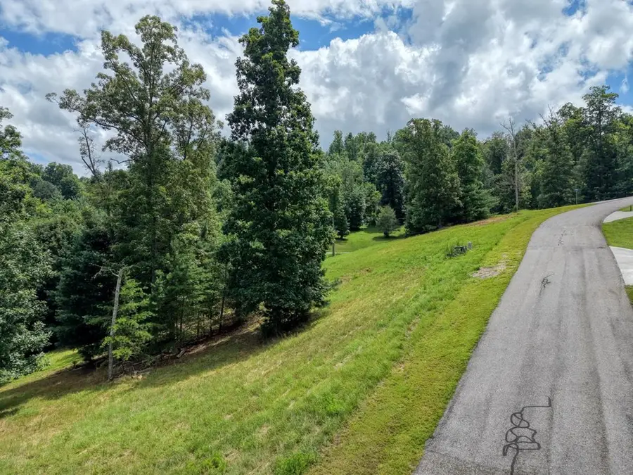 Lot 118 Riverside Lk Nottely, Blairsville, GA 30512 - #2