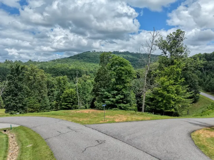 Lot 118 Riverside Lk Nottely, Blairsville, GA 30512 - #3