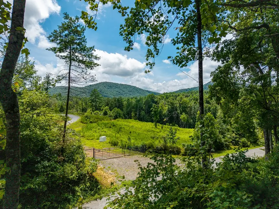 000 Higdon Creek Road, Blue Ridge, GA 30513 - #2