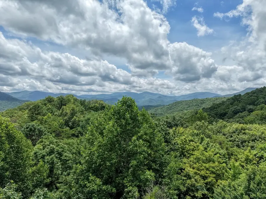 34 AC Caesar Gap Road, Hiawassee, GA 30546 - #3