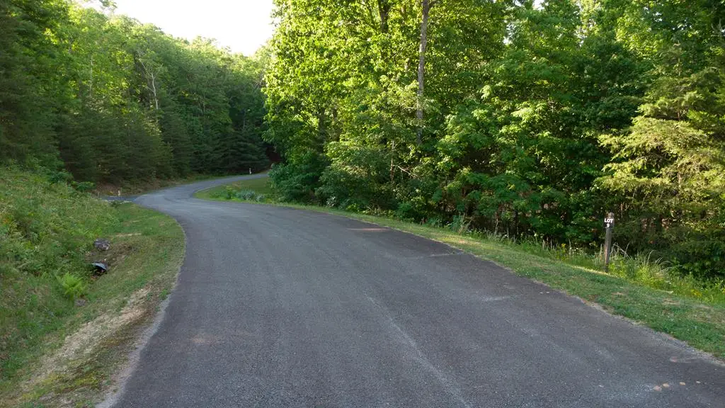 Lot 9 Robert Drive, Ellijay, GA 30536 - #1