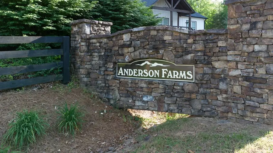 Lot 9 Robert Drive, Ellijay, GA 30536 - #3