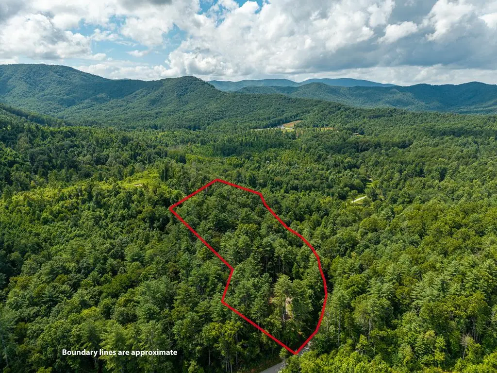 2.31Acre Higdon Creek Road, Blue Ridge, GA 30513 - #1
