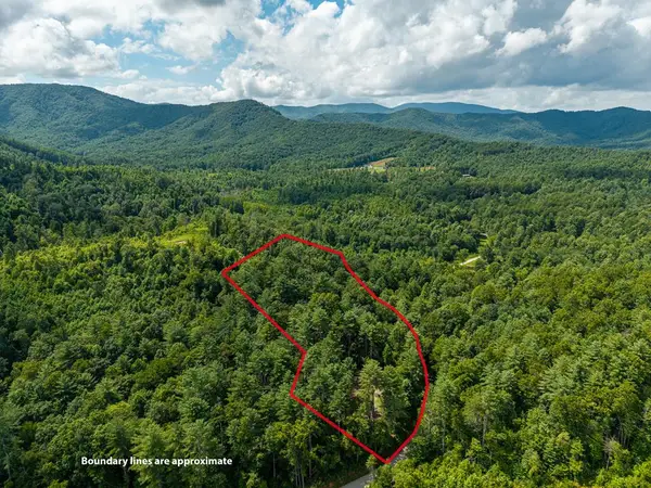 2.31Acre Higdon Creek Road, Blue Ridge, GA 30513