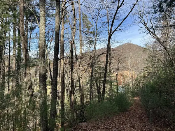 0 Downings Creek Road, Hayesville, NC 28904
