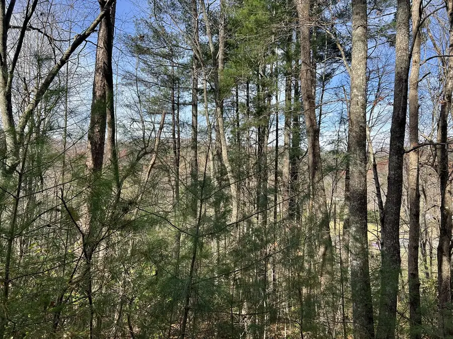 0 Downings Creek Road, Hayesville, NC 28904 - #2