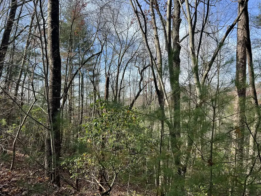 0 Downings Creek Road, Hayesville, NC 28904 - #3