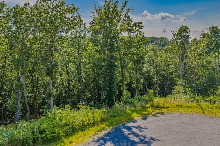 lot 84 High Summit Drive, Talking Rock, GA 30175 - #3