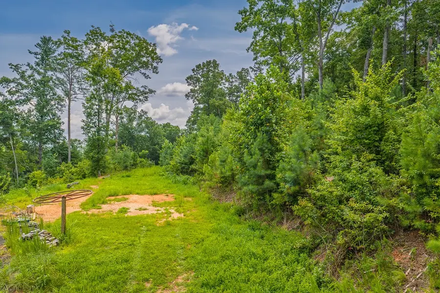 Lot 166 Pinnacle Drive, Ellijay, GA 30540 - #3