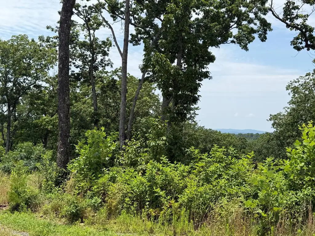 Lot 93 Timberline Trail, Talking Rock, GA 30175 - #1