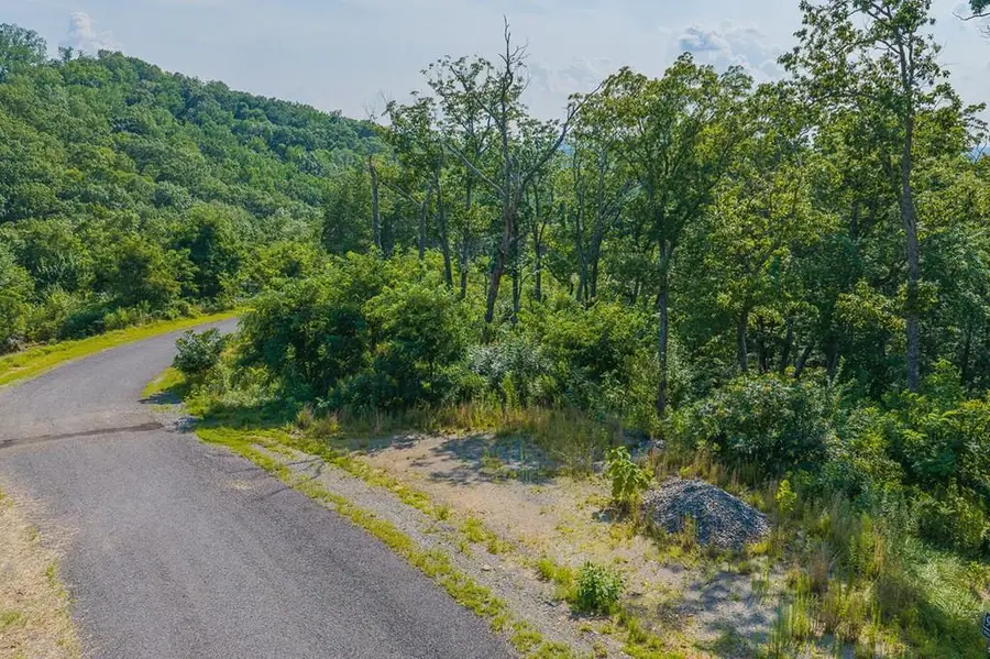Lot 93 Timberline Trail, Talking Rock, GA 30175 - #2
