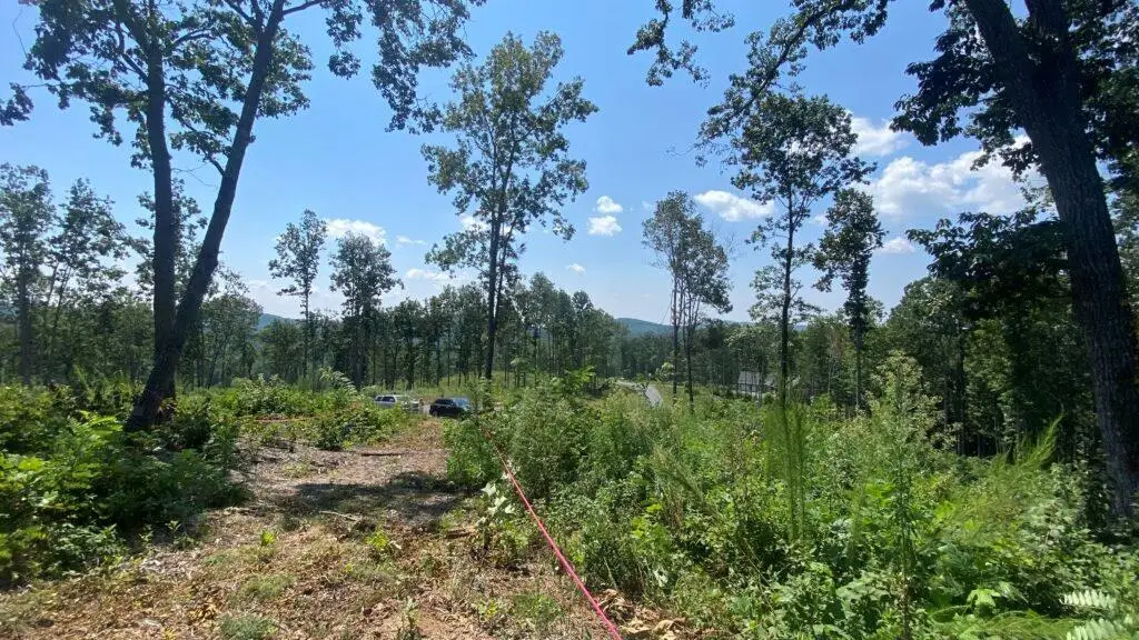 1084 Highgrove Drive, Talking Rock, GA 30175 - #1