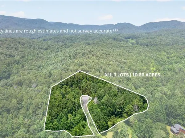 10.66 AC East Ridge Lane, Ellijay, GA 30536