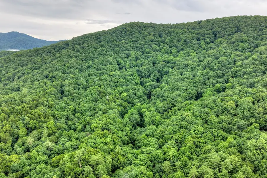 1138 Douglas Mountain Trail, Ellijay, GA 30540 - #3