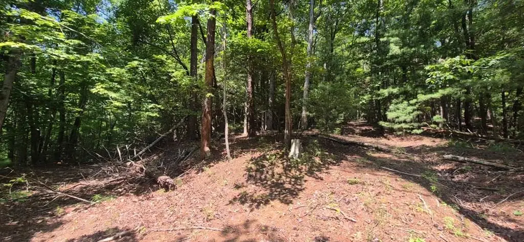 3.4 acre Peach Lane, Ellijay, GA 30536 - #1