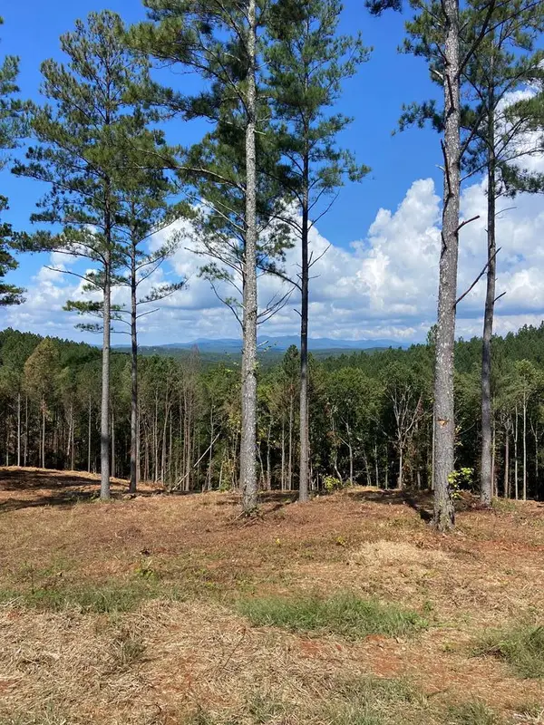 Lot 63 Lacey Springs Lane, Ellijay, GA 30143