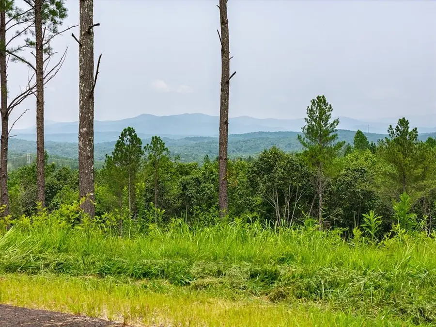 Lot 63 Lacey Springs Lane, Ellijay, GA 30143 - #2