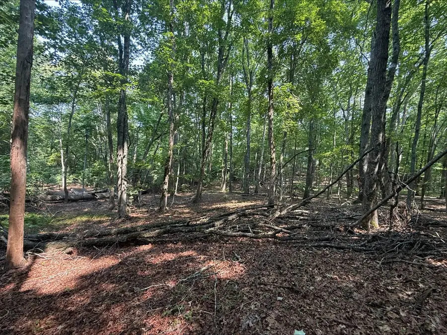 8 Mystic Ridge, Blairsville, GA 30512 - #3