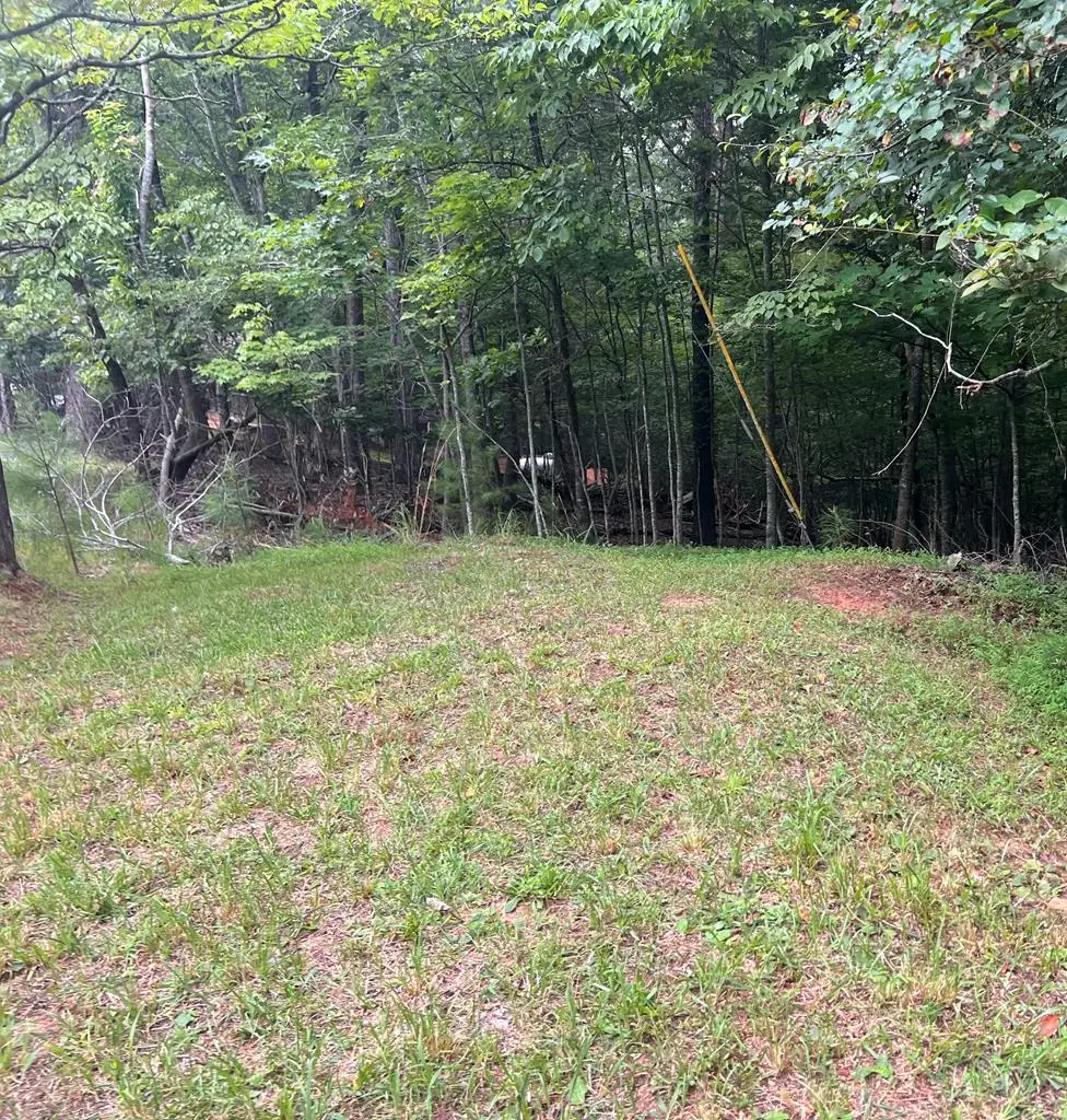 LT 445 Villa Drive, Ellijay, GA 30540 - #1